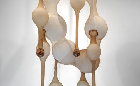 Photo of sculpture Fermentation Rig by Luther Thie