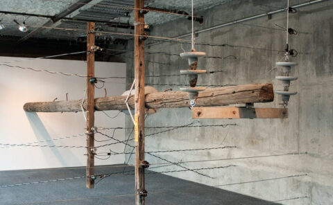 Tilted Pole, 2008
